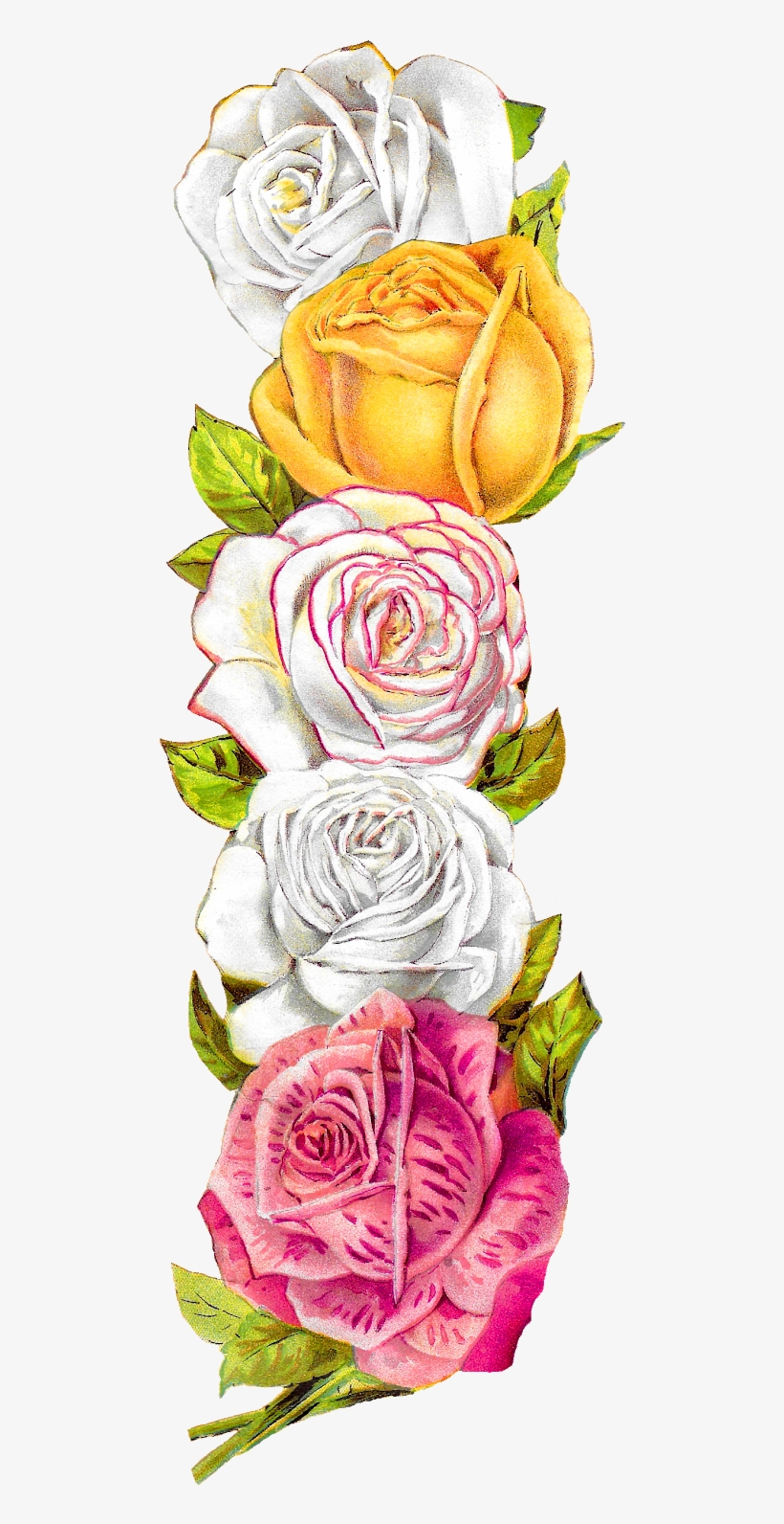 Posted On The Graphics Monarch, There Is A Pretty, - Graphics, transparent png #2609833