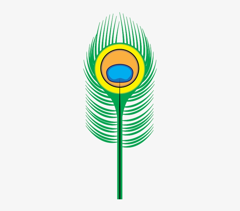 Krishna Clipart Merak Peacock Feather Clip Art Free