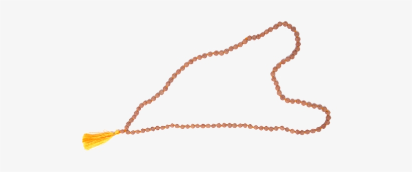 Rudraksha, transparent png #2609914