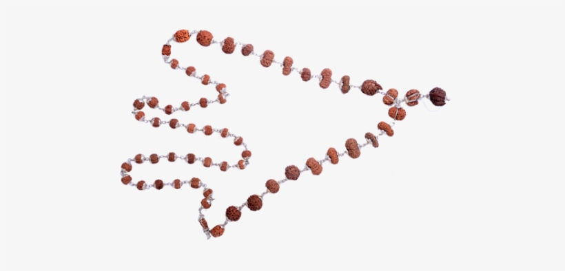 Multi Combination Multiple Purpose Rudraksha Mala 26 - Bead, transparent png #2609975