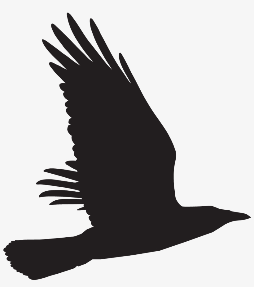 Buzzard, transparent png #2610203