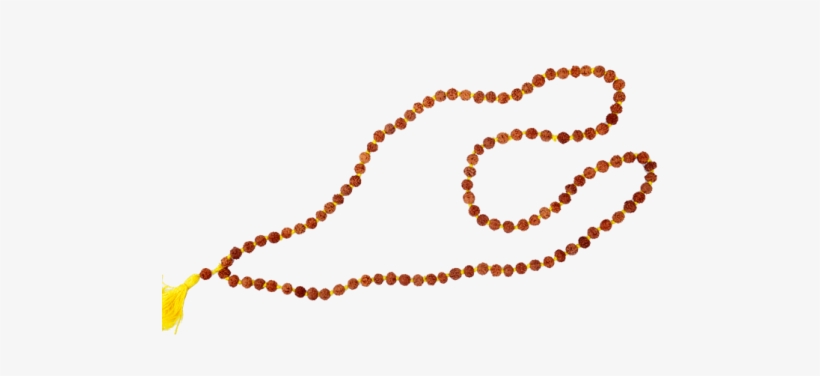 Necklace, transparent png #2610469
