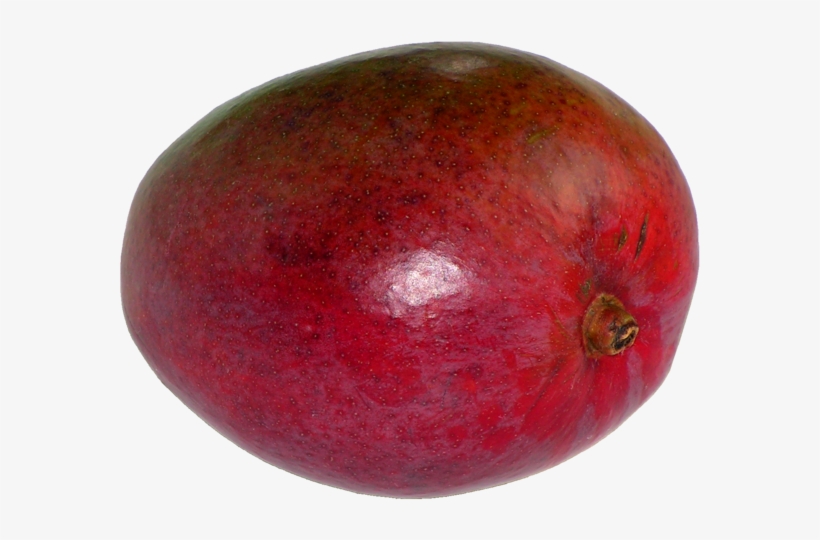 Mangifera Indica20100405 23 - Crimson Gold, transparent png #2610958