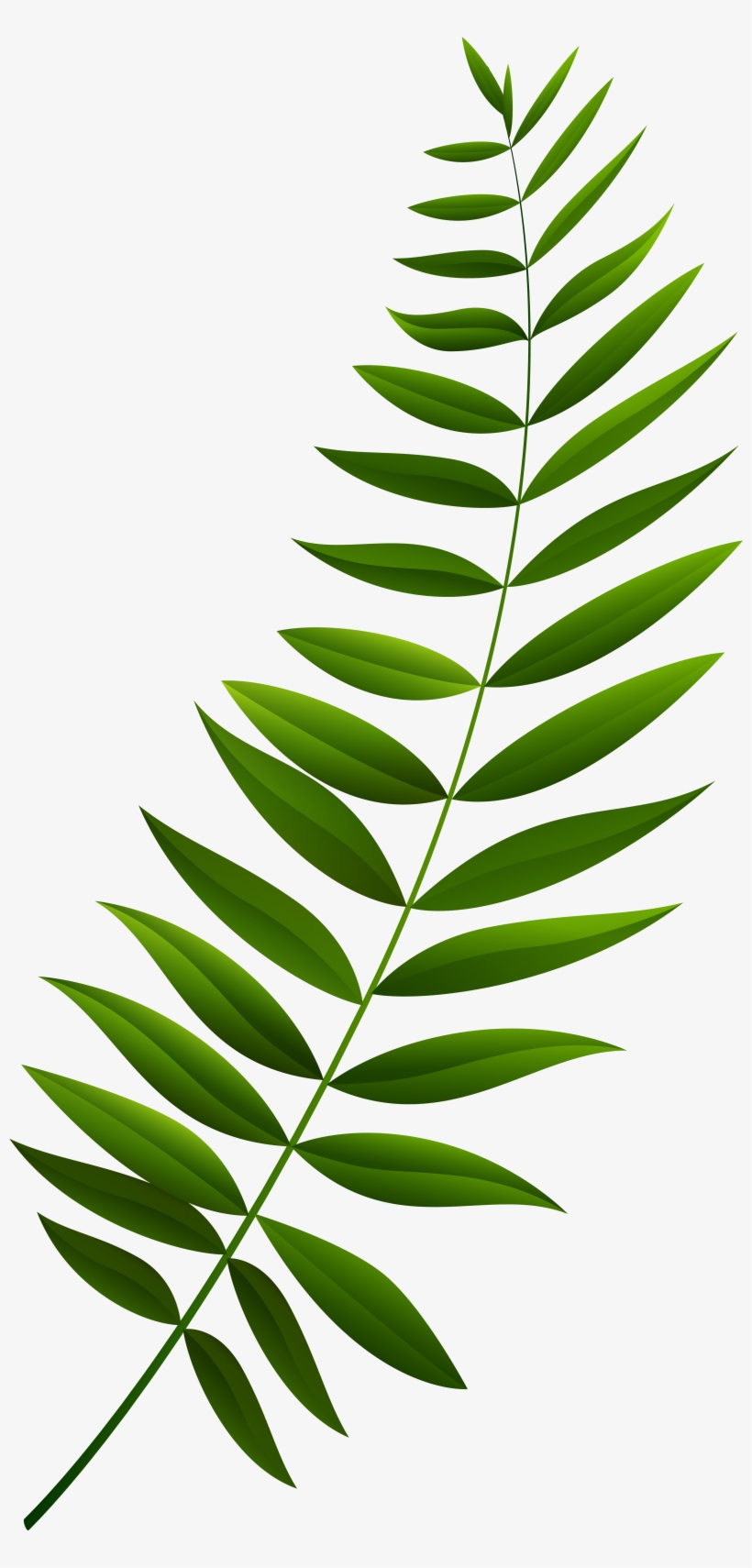 Green Branch Clipart, transparent png #2611259
