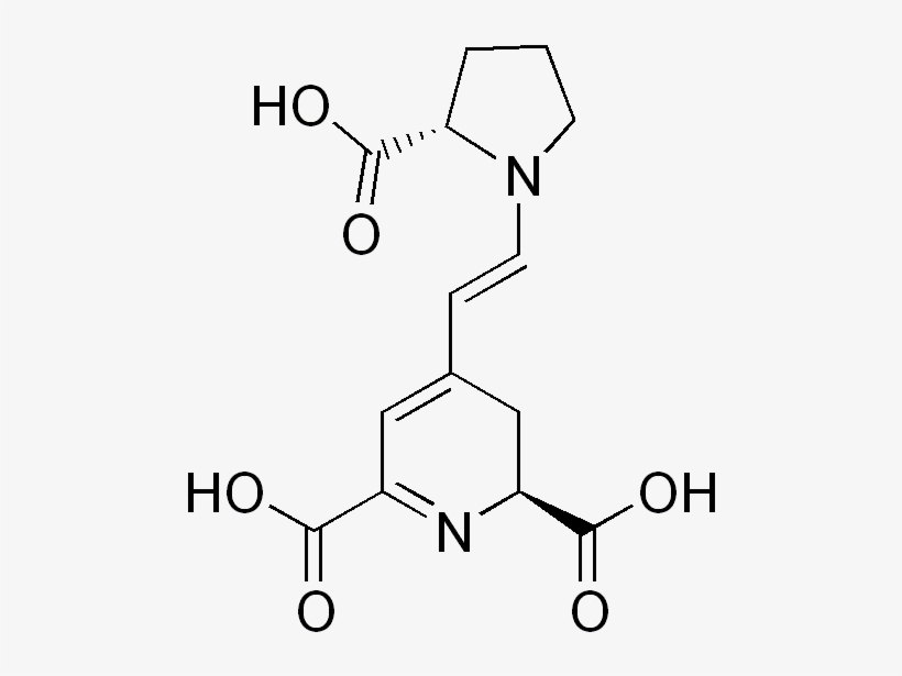 Indicaxanthin - Xanthurenic Acid, transparent png #2611492