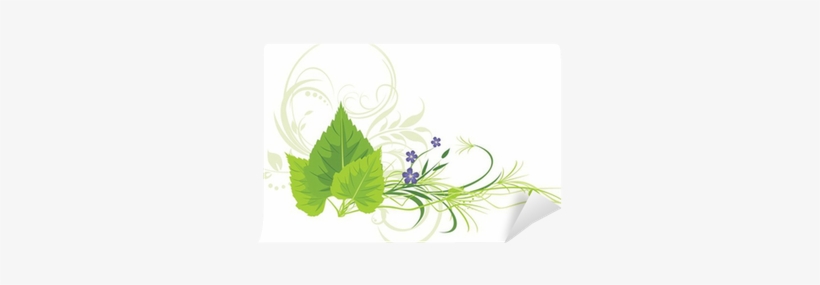 Birch Leaves, Flowers With Grass And Decorative Ornament - Leaves Of Grass, transparent png #2611526