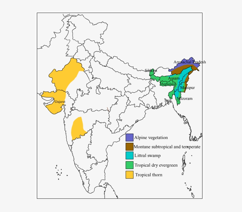 Expert Answer - > - Stock Illustration, transparent png #2611941