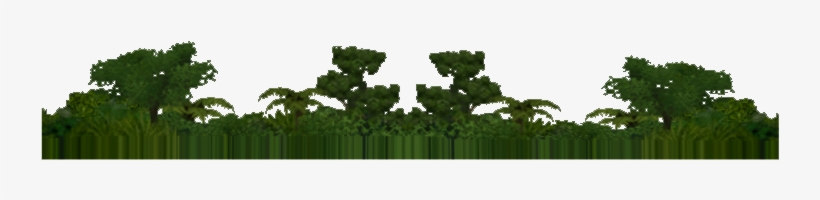 Rainforest Background B - Rainforest Foliage Zt2, transparent png #2612171