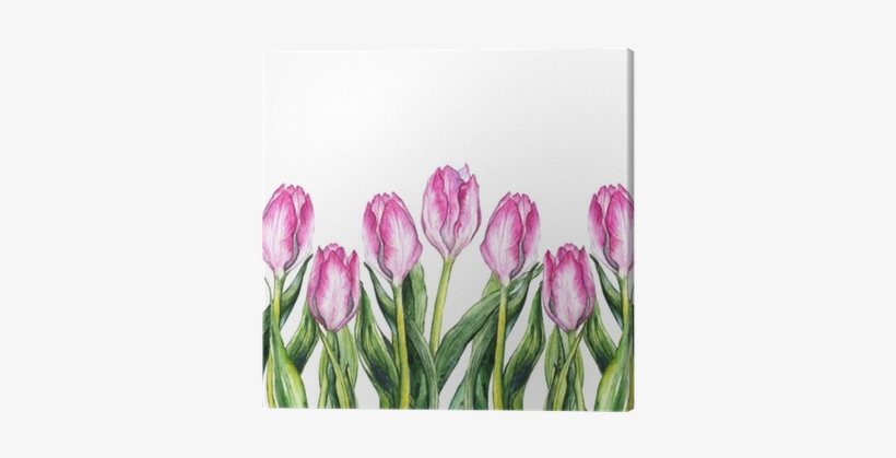 Watercolor Pink Tulip Flower Nature Border Frame Canvas - Watercolor Painting, transparent png #2612385