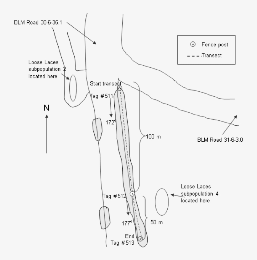 Approximate Subpopulation Border Is Shaded - Diagram, transparent png #2612586