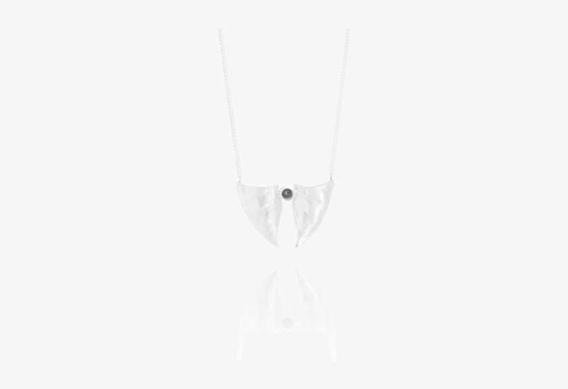 Nanook Claw Necklace - Pendant, transparent png #2613170