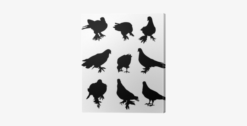 Vector Graphics, transparent png #2613346