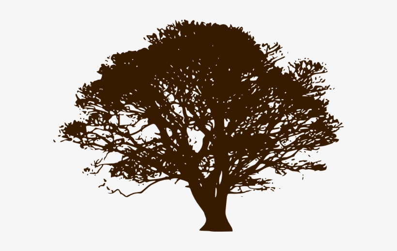 Brown Wedding Tree Clipart - Olive Tree Black And White, transparent png #2613412