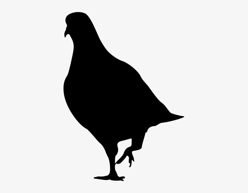 Swag Transparent Pigeon - Illustration, transparent png #2613735