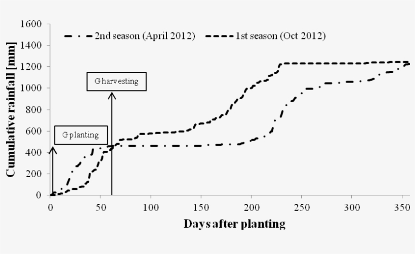 Cumulative Rainfall During The Experimental Period - Cassava+ Nutrient Uptake+ Growth Stage, transparent png #2614358