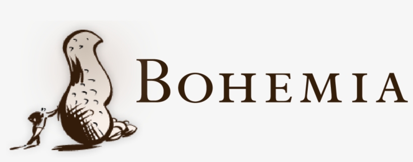 Logo - South Africa, transparent png #2614447