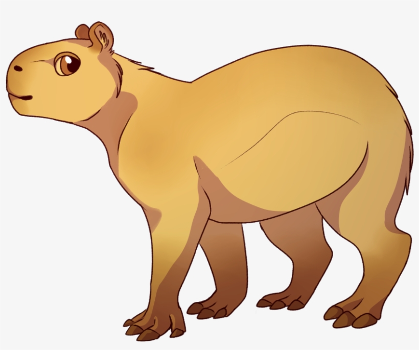Download Png Library Download How To Draw Shinchan - Capybara, transparent png #2614534