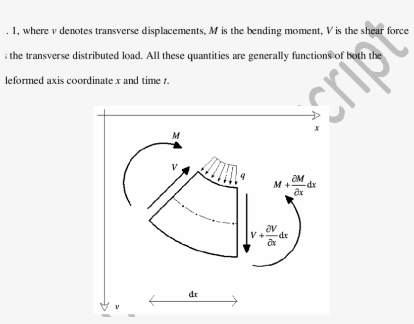 Internal And External Forces Acting On An Infinitesimal - Science, transparent png #2614709