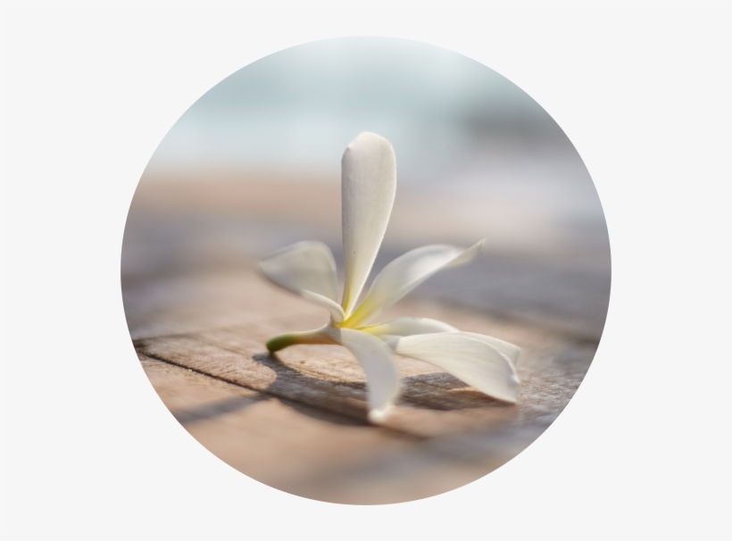 Hablis Hotel Chennai Chennai Hablis Hotel Luxury Hotel - Hablis Hotel, transparent png #2615021