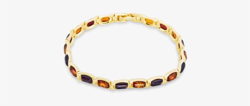 14 Carat Gold Bracelet With Light And Dark Amber - Womens Bristol Novelty Bracelet Gold Bangle Costume, transparent png #2615410