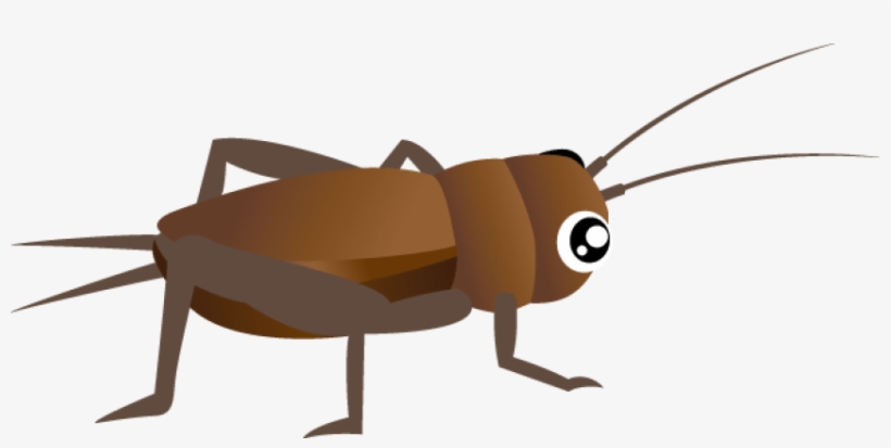 Clipart Png Cricket - Cricket Clipart Insect, transparent png #2615444