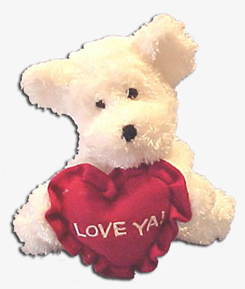 Boyds Bear Hugs White Teddy Bear - Teddy Bear, transparent png #2615470