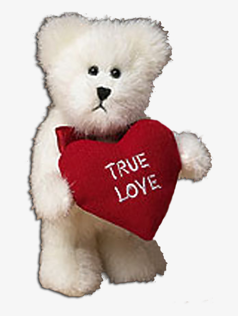 Boyds True Love White Teddy Bear - Plush, transparent png #2615506