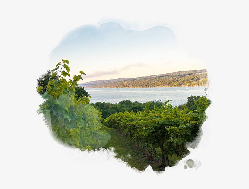 Lodging Restaurants - Keuka Lake, transparent png #2616705