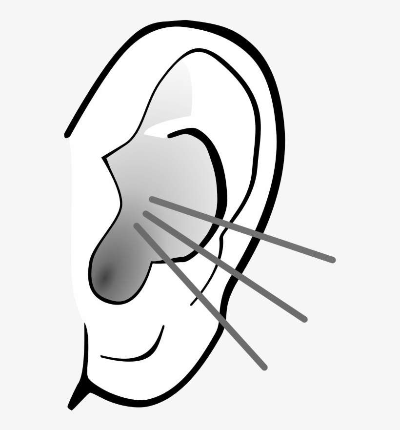 Listening Ear Clipart - Black And White Ears Png Clipart, transparent png #2617458