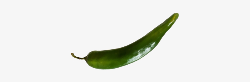 Bird's Eye Chili, transparent png #2617976