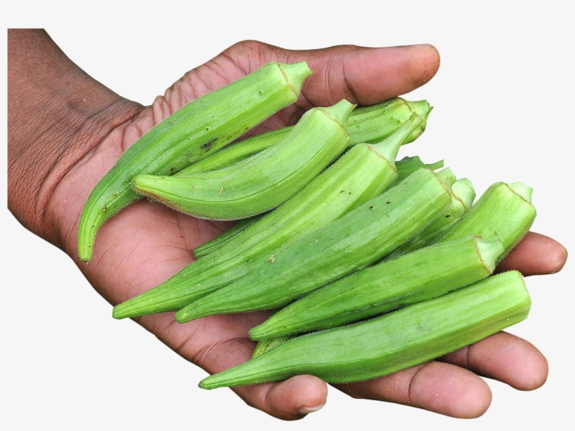 1348 X 913 - Okra Png, transparent png #2618083