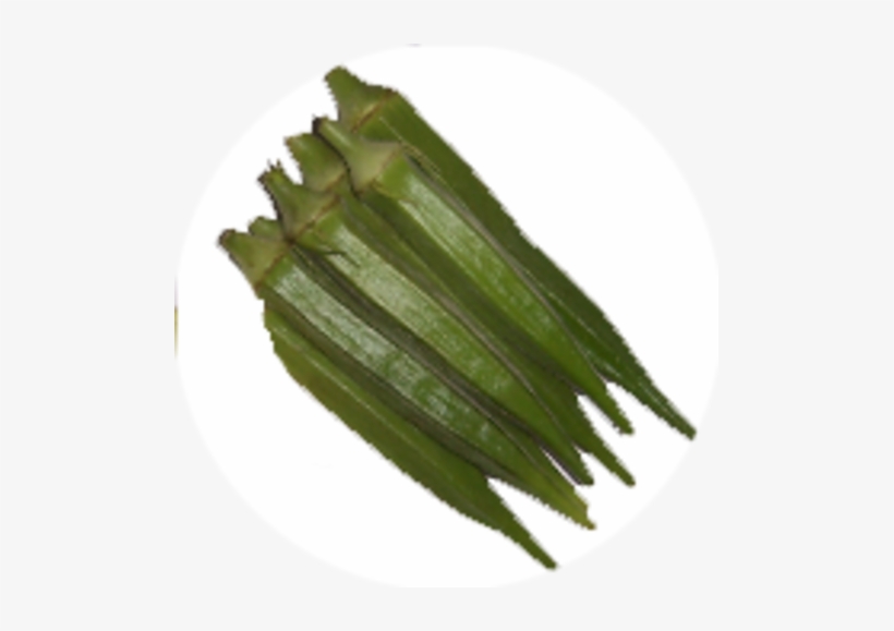 Bhindi Lady Finger - Jivkar Seeds Pvt. Ltd., transparent png #2618129