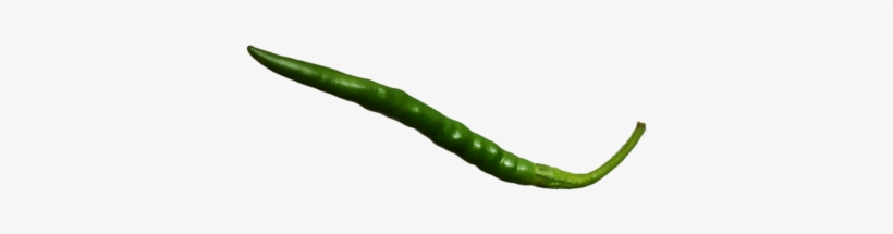 Wishlist Loading - Vegetable, transparent png #2618568