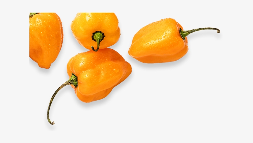 Previous Slide Next Slide - Yellow Pepper, transparent png #2618998