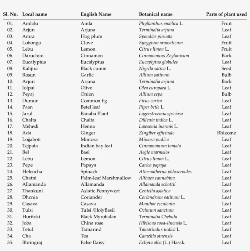 List Of Medicinal Plants Used To Evaluate Antibacterial - Medicinal Plants Name List, transparent png #2619625
