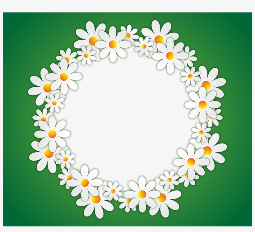 Text Box Design Frame Transparent Download - Circle Flower Transparent Background, transparent png #2619630