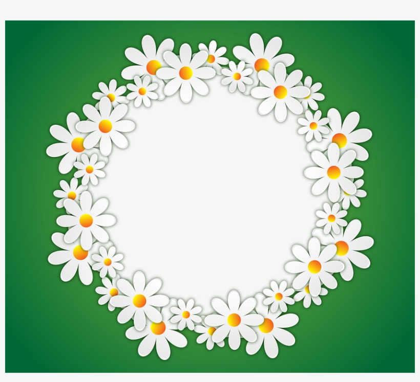 Text Box Design Frame Transparent Download - Circle Flower Transparent  Background - Free Transparent PNG Download - PNGkey