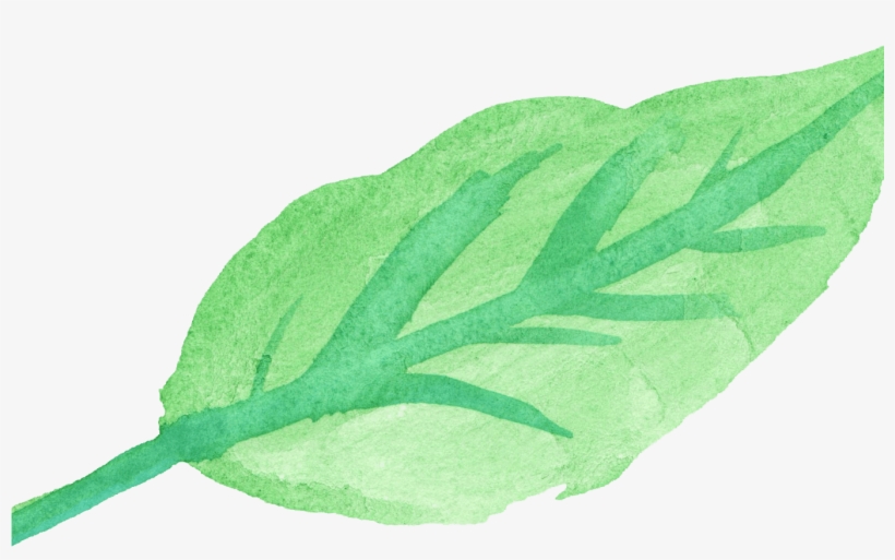 15 Watercolor Leaves Png For Free Download On Mbtskoudsalg - Watercolor Leaf Leaf Transparent, transparent png #2619764