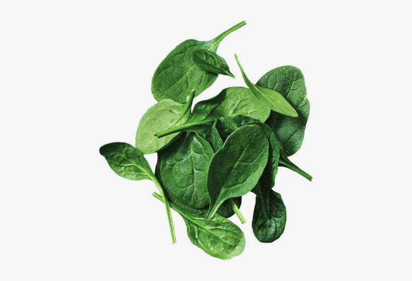 Located Right In The Shopping Center Les Rivières, - Spinach, transparent png #2619955
