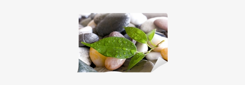 Pebble, transparent png #2620057