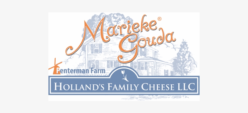 Marieke-gouda - Calligraphy, transparent png #2620099