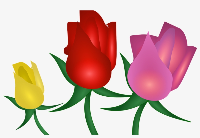 Rose Flowers Floral - Flower, transparent png #2620358