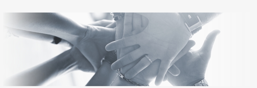 Community Header - Header, transparent png #2620538