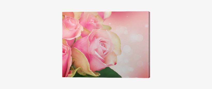 Rose Flower Art Design - Thursday Blessings Pink Roses, transparent png #2620566