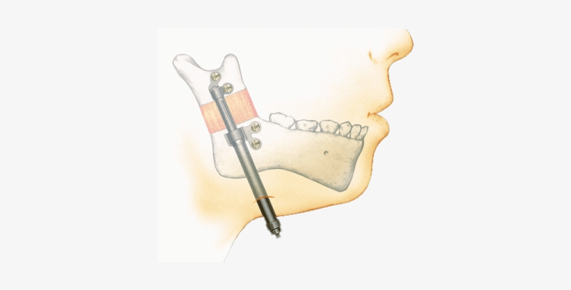 Choose - Pediatrics, transparent png #2620596