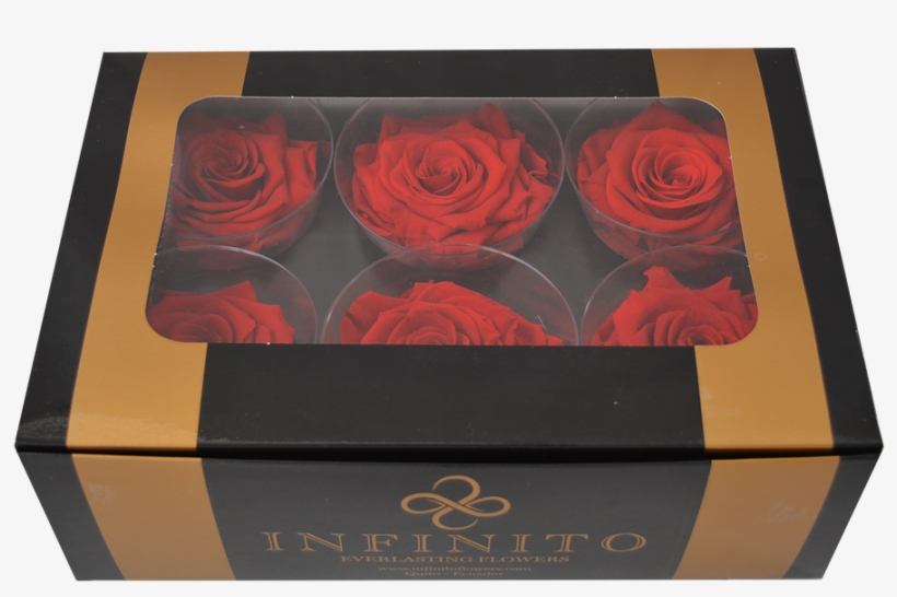 Six Red Roses Box - Garden Roses, transparent png #2620688