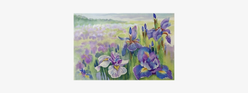 Watercolor Painting, transparent png #2621425