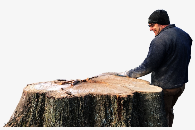 Arts And Crafts - Tree Stump, transparent png #2621643