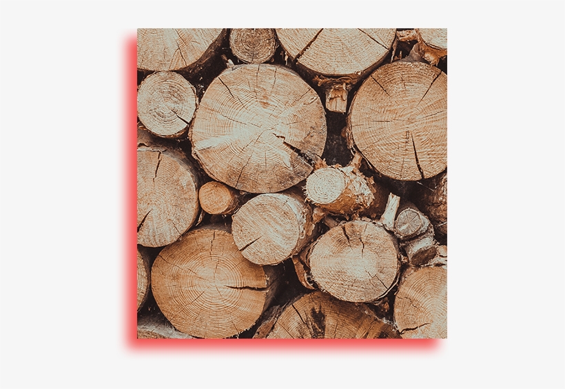 Firewood, transparent png #2622033