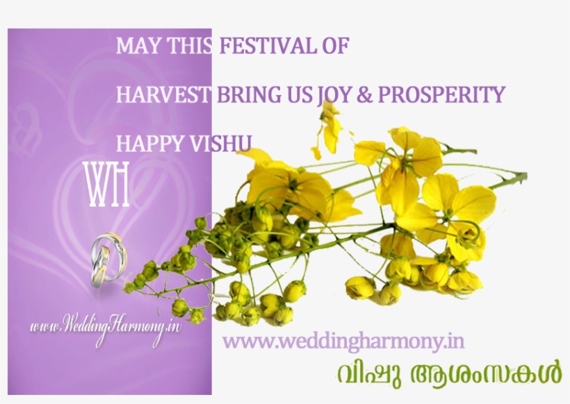 Vishu Wishes - - Vishu Festival, transparent png #2622305